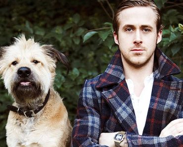 Which celebrity is this dog's human